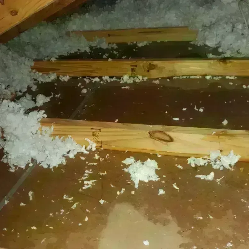 Attic Water Damage in Wise County, VA