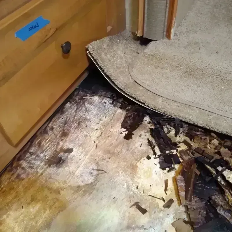 Wood Floor Water Damage in Wise County, VA